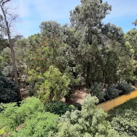 Forest View Lisbon