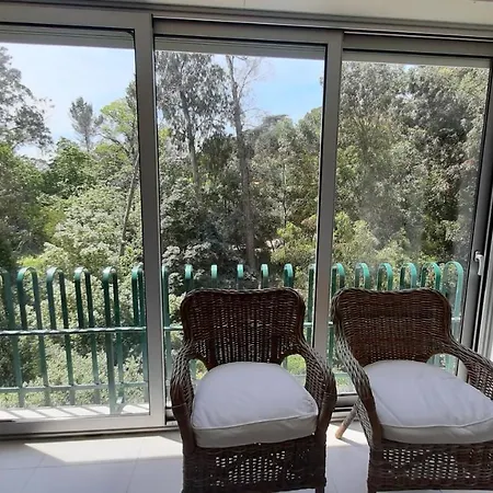 Apartment Forest View Lisbon