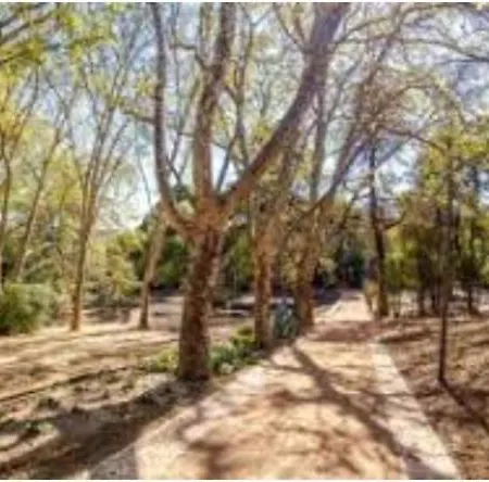 Apartment Forest View *
