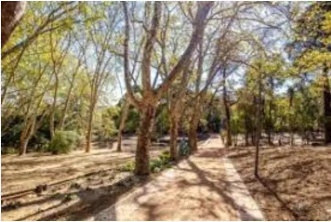 Apartment Forest View *